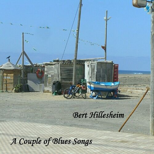 Bert Hillesheim - What Can I Do ?