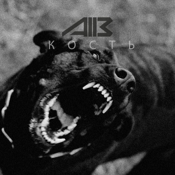 A113 - Кость