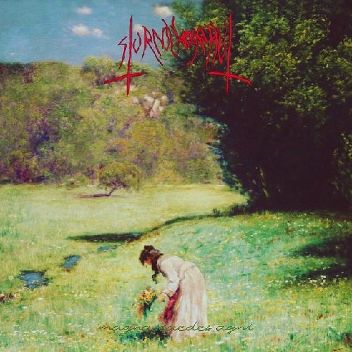 STURMVORHUT - The Burial