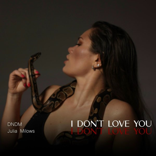 DNDM/Julia Milows - I Don't Love You