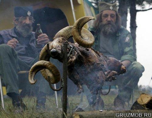 . Chintulov  Stani, stani iu - D. Chintulov  Stani, stani iunak balkanski