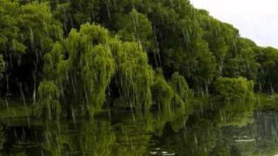 Неизвестный - Вальс дождя