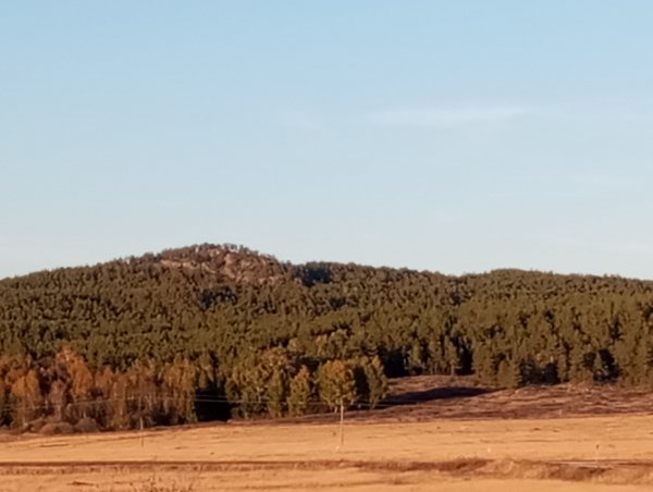 picture_420506797