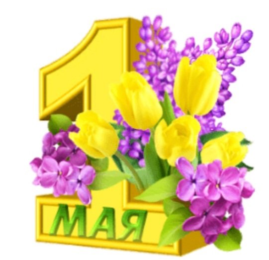 IMG-20210501-WA0010