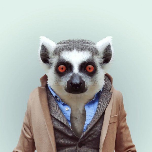 Zoo-Book pixanews-1-680x680