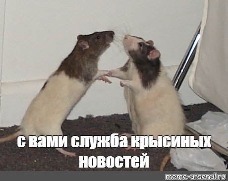 Eb958ea5a9d7ebec11b81da62cf998db