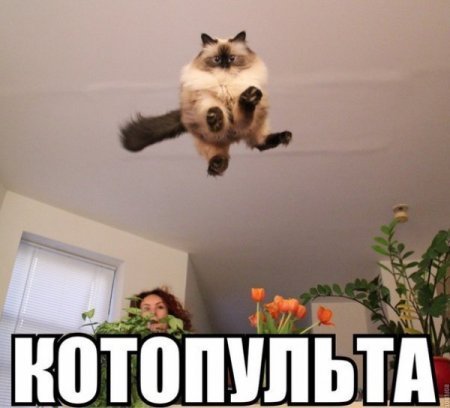 EiAMR HW0uk