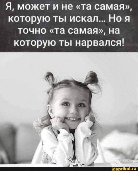 b531272a20553f035030e6424cd295678e6f881fdc6e76a9dbde215d