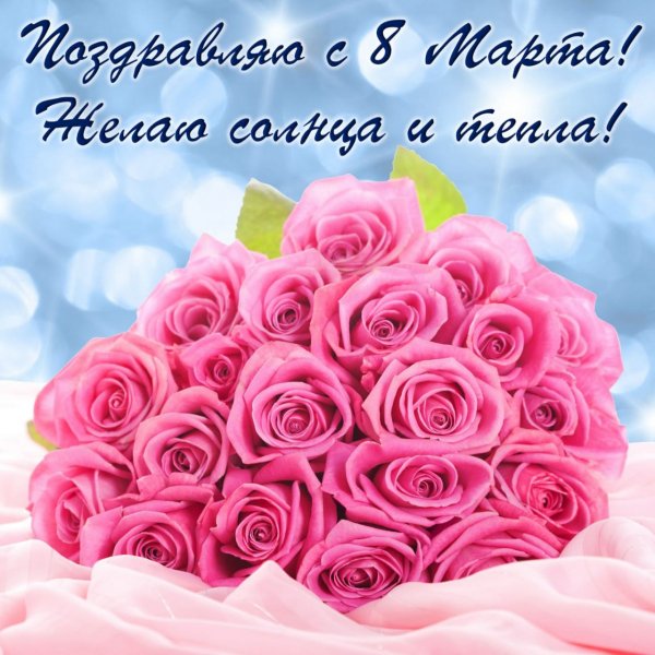 IMG-20210308-WA0003