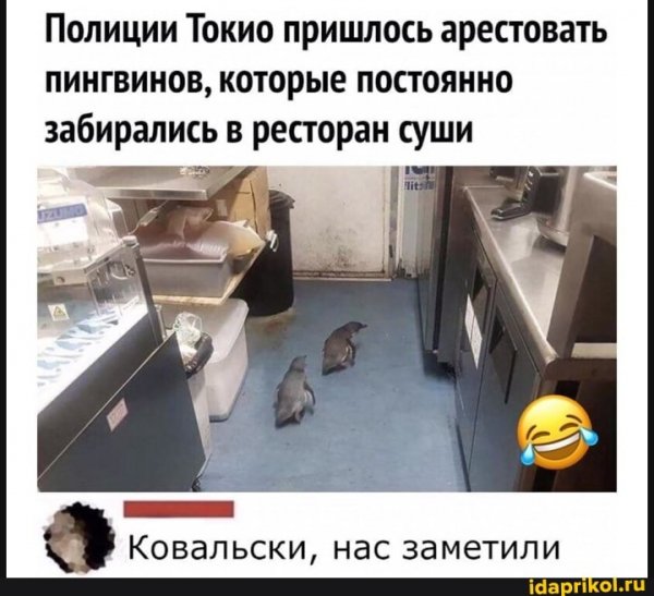 db6b448255e7fd377e054b331cefdebaa5dcff5177f61f81