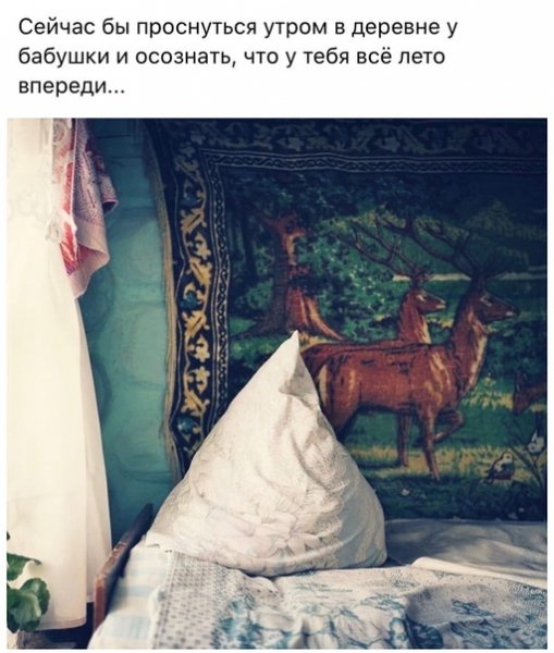 у бабушки