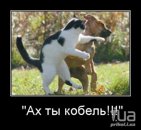Опаньки!