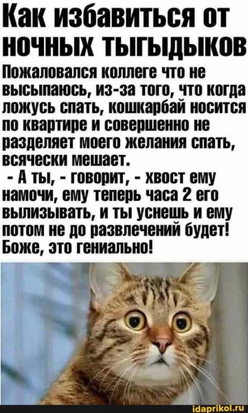 4b6f1ed5957f205c95163fc47cc8249d2325c37817271ebe8b6003c6704d9
