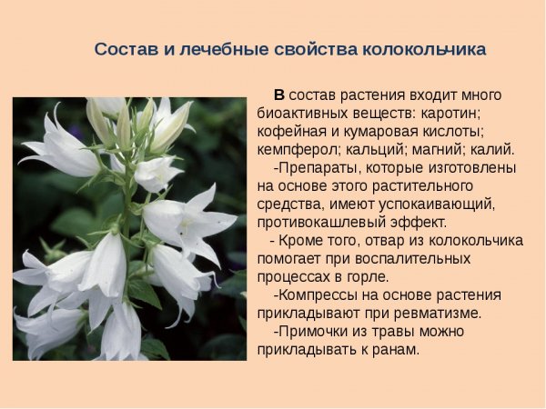 Колокольчик
