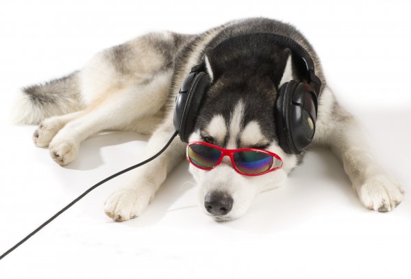 IStock 000022154384 Large