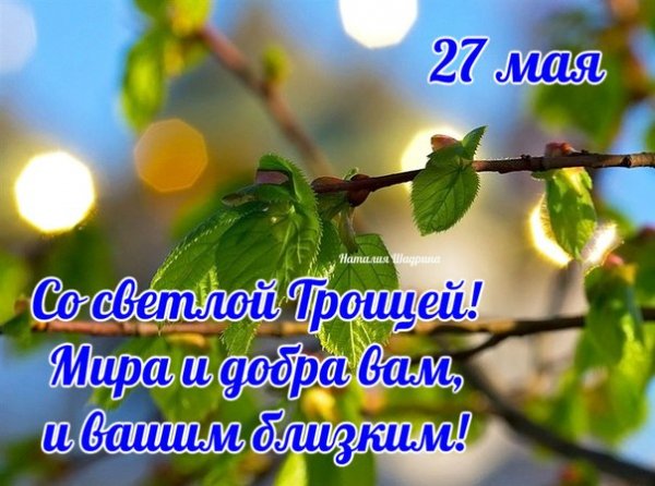picture_211248097
