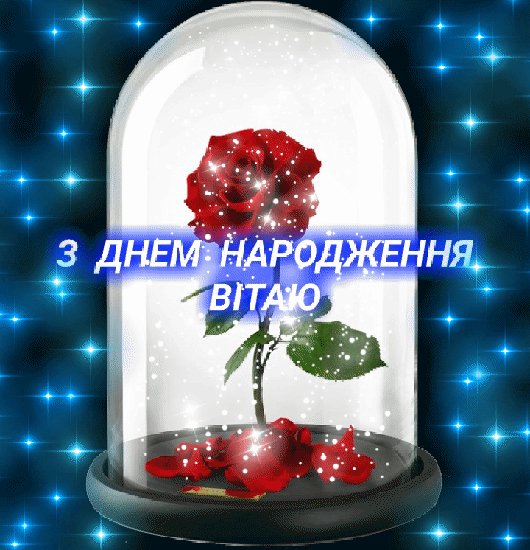 GIF 20210214 131600