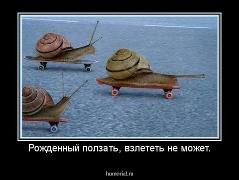 pics