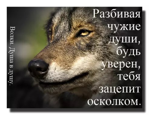 Душа