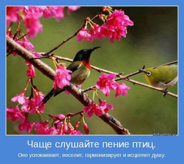 novye-motivatory-7