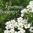 Пасха