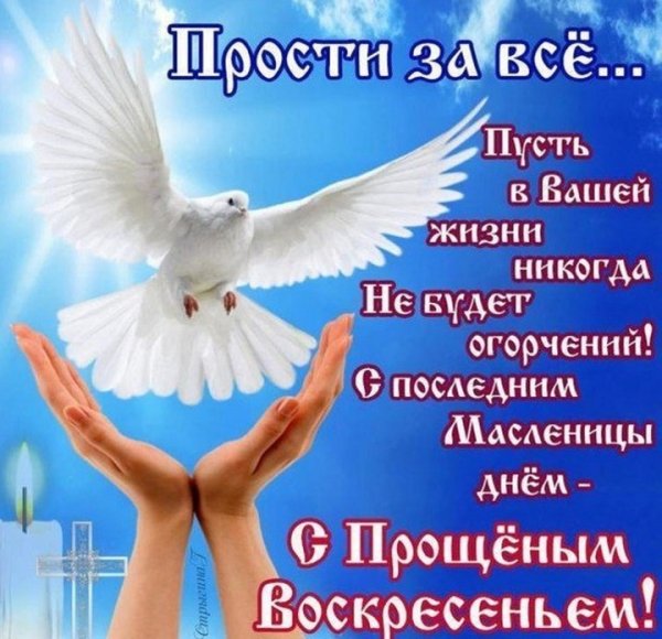 9cd178a032eec9d07984308eecdfb2c3