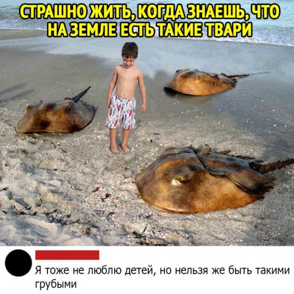 kommentarii-iz-socialnyh-setej-17
