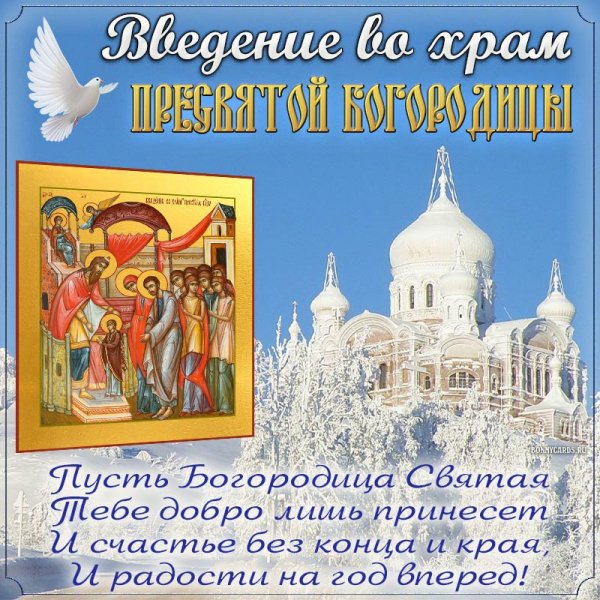 Изображение viber 2023-12-04 01-20-32-948