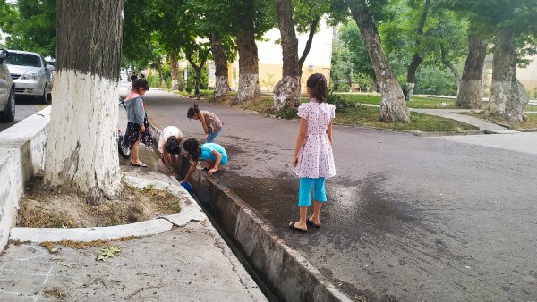 Жаркое лето Ташкента...IMG 20190609 180956