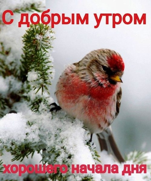 Всех!