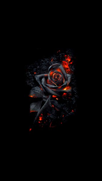 Black Edition 0002