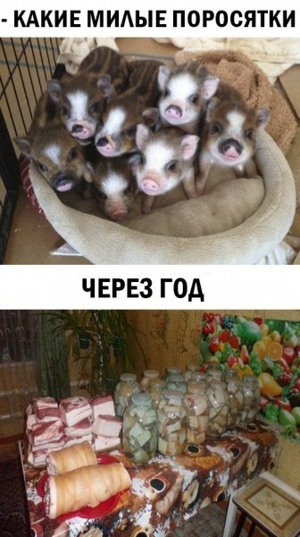 Хрю Хрю