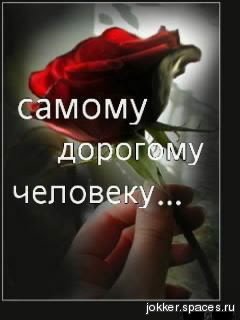 Роза