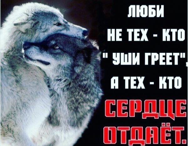 picture_389154495