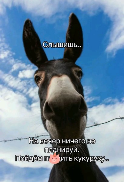 IMG 20260821 191808