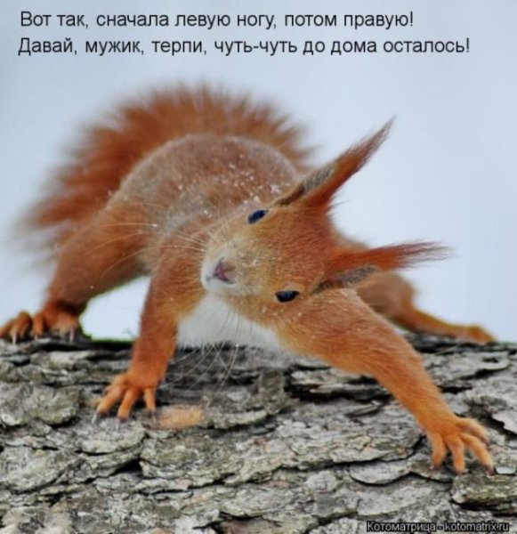 e4ebb424c9a3b6be9dc19e16