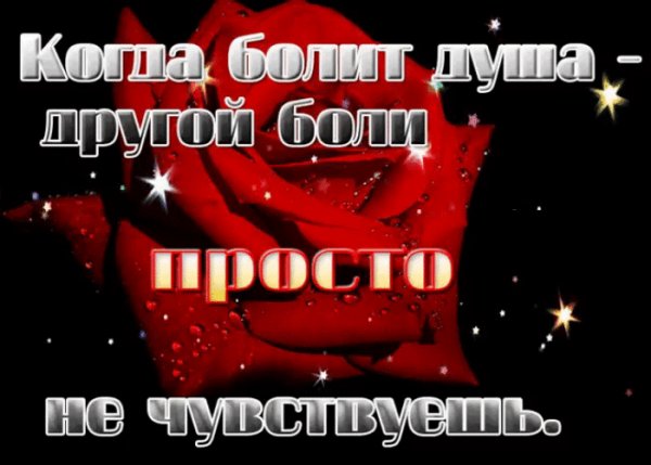 IMG 20170705 102105 0