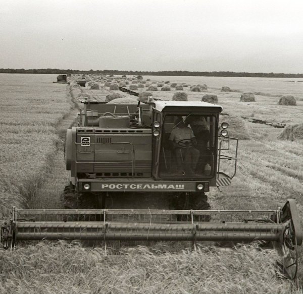 7PyC59ZoJgE