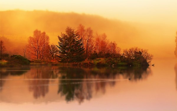 Autumn Orange