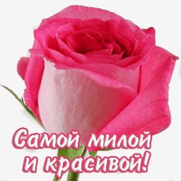 getImage(149)