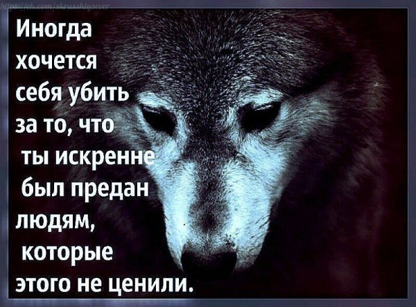 IMG 20200602 045629