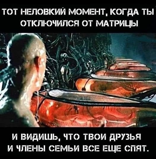 Матрица