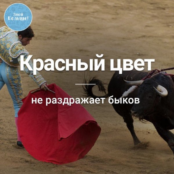 Ek2qbbuSmxQ