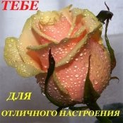 e8151913fbc1f2d8aab8f4e46a5e75ac
