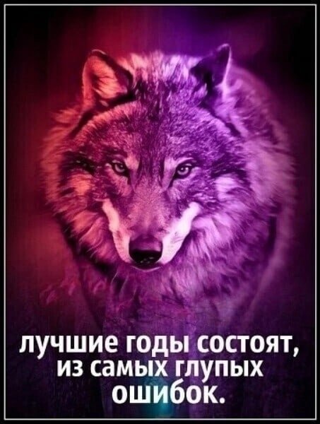 VvryWsurV40