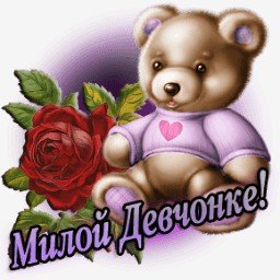 мишка