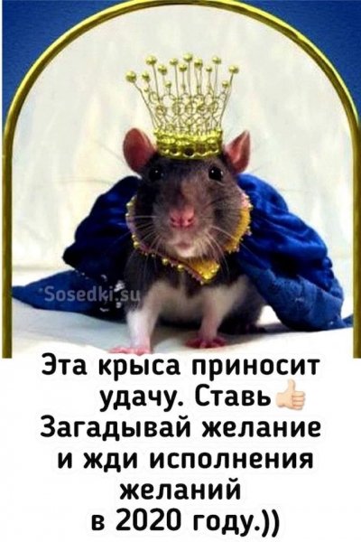 IMG 20191211 165930