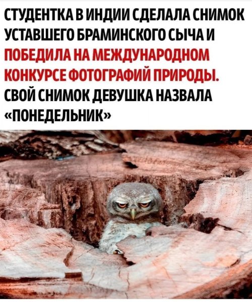 f.1200.1200.0