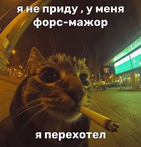 03d0bec2b1 mnogo-otbornyh-shutok-v-memah-i-kartinkah-4