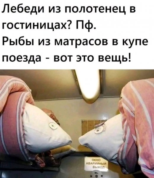 IMG-e3eb6ff4bc6844e0f36381bfb9a8d1db-V